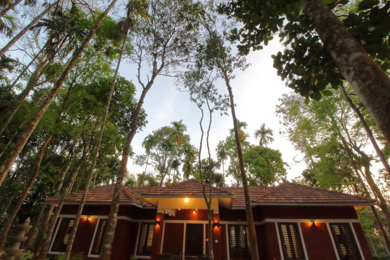Tall Trees - Modern Forest Villa In Wayanad Szultán Bathery Kültér fotó