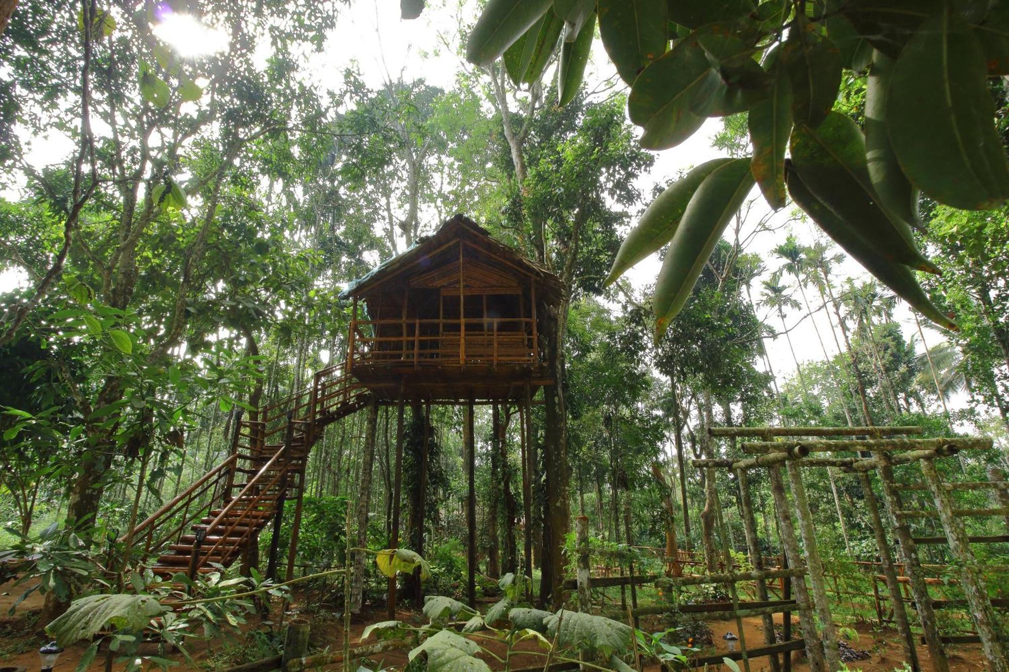 Tall Trees - Modern Forest Villa In Wayanad Szultán Bathery Kültér fotó