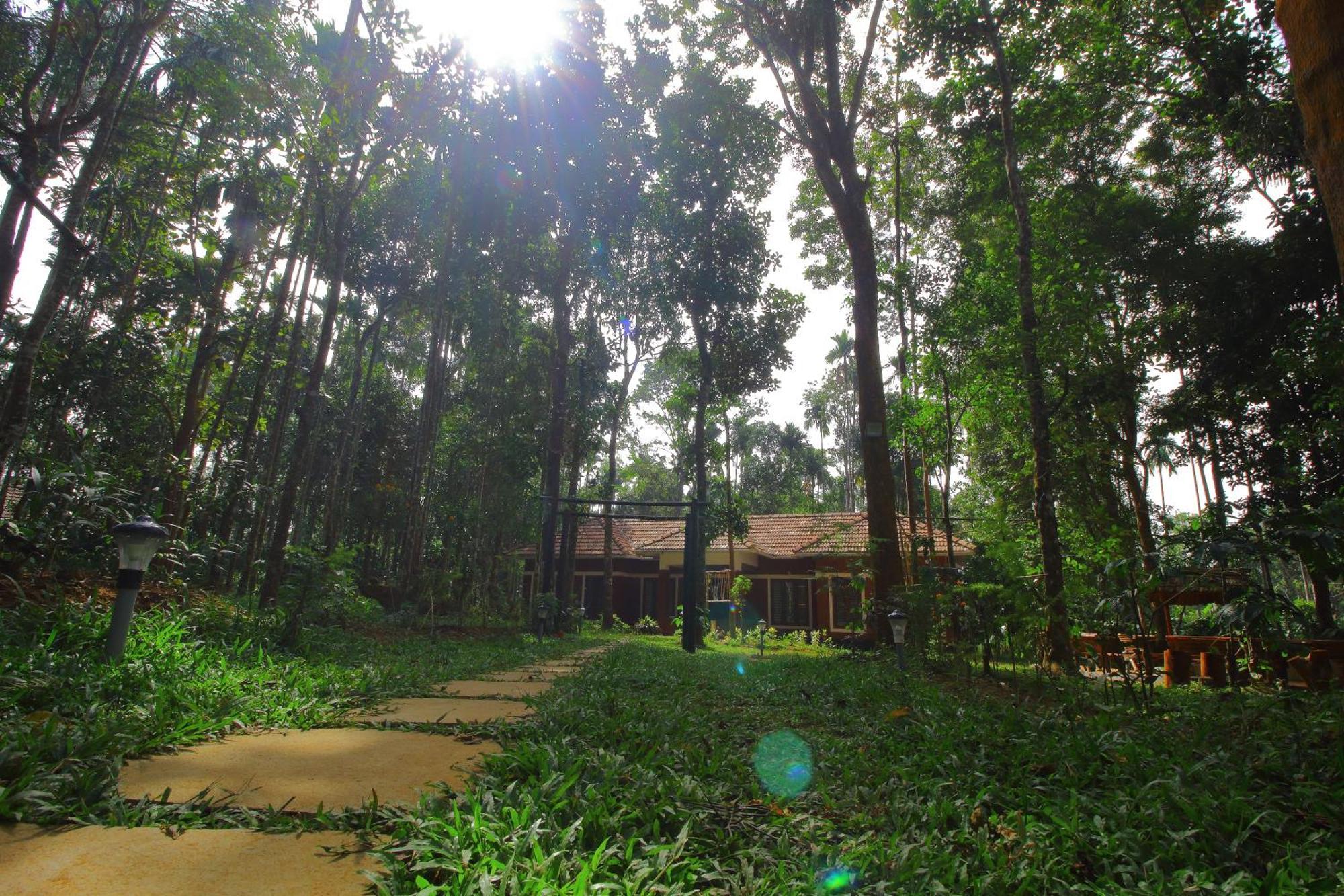 Tall Trees - Modern Forest Villa In Wayanad Szultán Bathery Kültér fotó